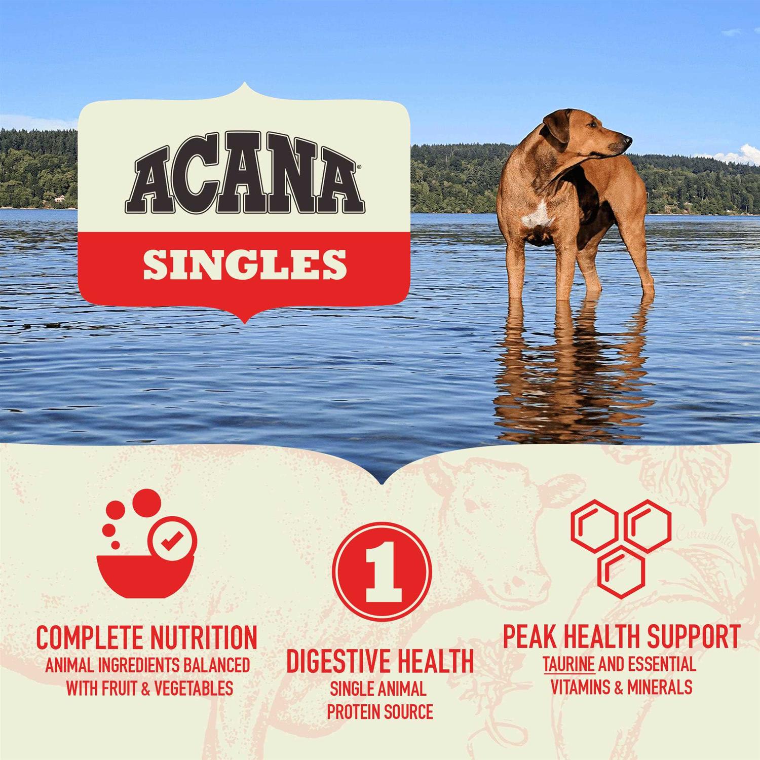 ACANA Singles Limited Ingredient Diet Pork &amp; Squash Recipe Grain-Free Dry Dog Food, 22.5-lb bag - Pet Supplies online store