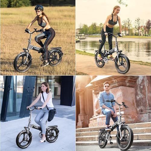 Folding Electric Bike for Adults, 750W Motor(1000W Peak),30MPH, 60Mile,48V 12.8AH/15AH/20AH Battery,20" Fat Tire Foldable Electric Bicycle