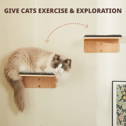 Cat Wall Shelf with Two Steps - Wave Cat Shelves and Perches for Wall - Wall Mounted Cats Furniture for Sleeping, Playing, Climbing, and Lounging