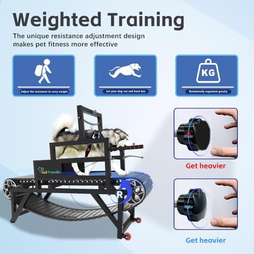 Dog Treadmill: Multi-Functional with Brake & Resistance Adjustment, Suitable for Large & Medium Dogs, Supports Up to 300 lbs