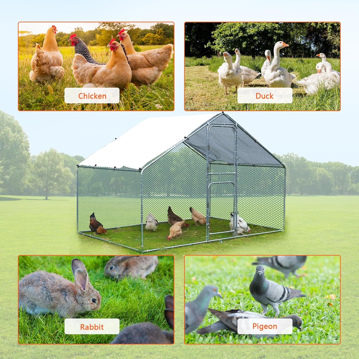 Large Metal Chicken Coop Chicken Run, Walk-in Poultry Cage Chicken Runs House, Chicken Pen with Water-Resident, Anti-UV Cover Support 15-20 Chickens