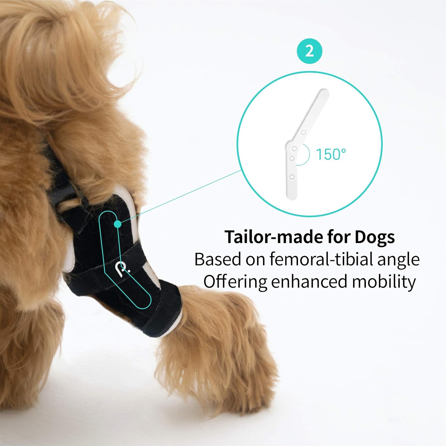 Poveo hinged Dog Knee Brace with Patella Tracker - Neoprene Canine Stifle Support for Dogs with Flexible Support, Torn ACL, Patella Luxation