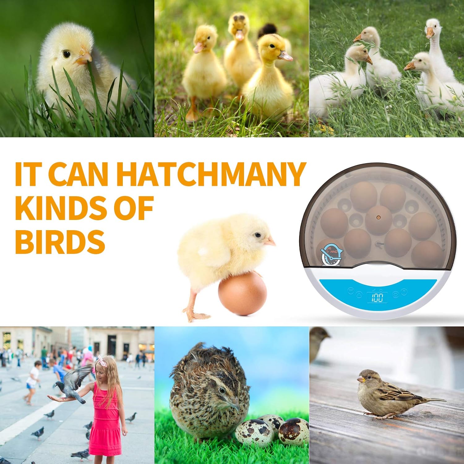 HBOOR Egg Incubator，incubators for Hatching Eggs ，Incubator Breeder for Chicken, Ducks
