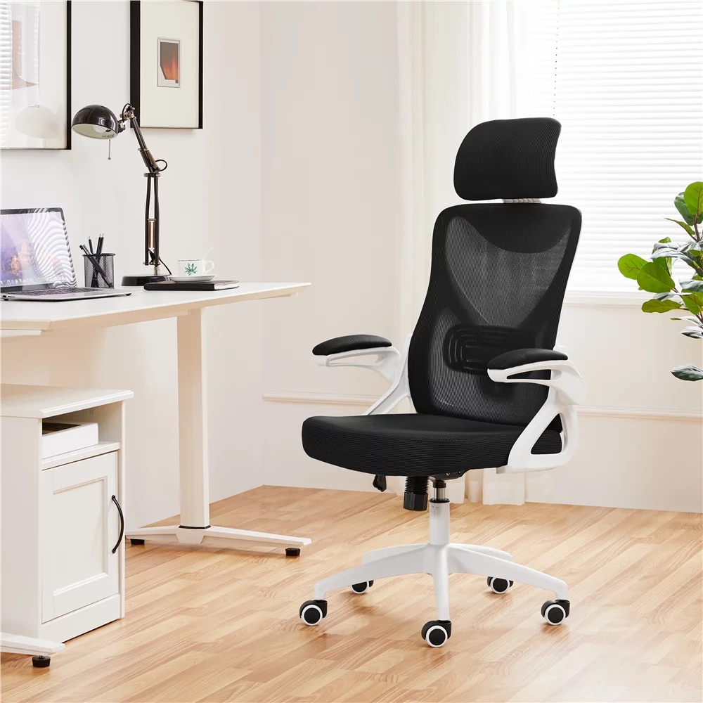 Alden Design Ergonomic Mesh Office Chair with High Back, Black