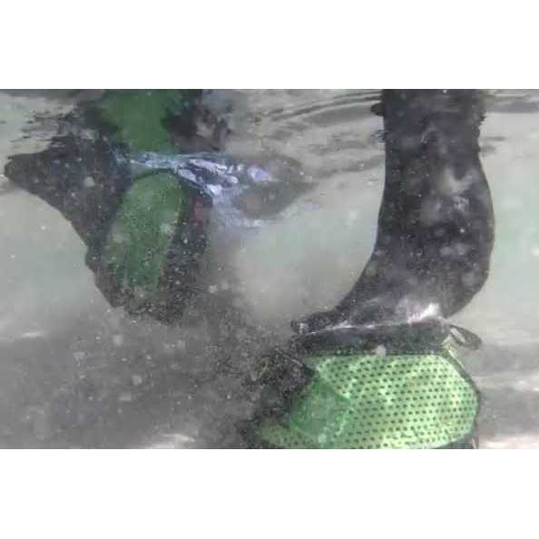 Cavallo Trek Boot - Sports Supplies Online Store