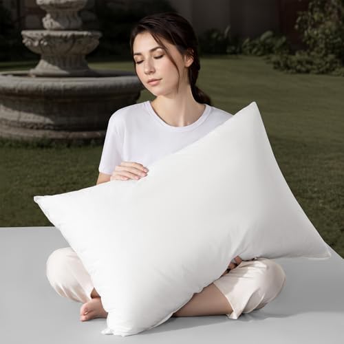 Shilucheng Goose Down and Feather Pillows Queen Size Set of 2 Pack, Luxury Hotel Quality Bed Pillows for Side Back Stomach Sleepers