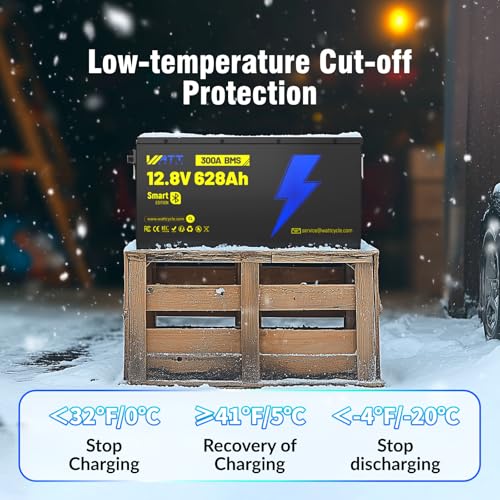 12V 314Ah Mini LiFePO4 Lithium Battery with Bluetooth 5.0, 200A BMS, 4.01kWh Energy, Upgraded Aluminum Cooling Fins & Braided Copper Wires, for RV