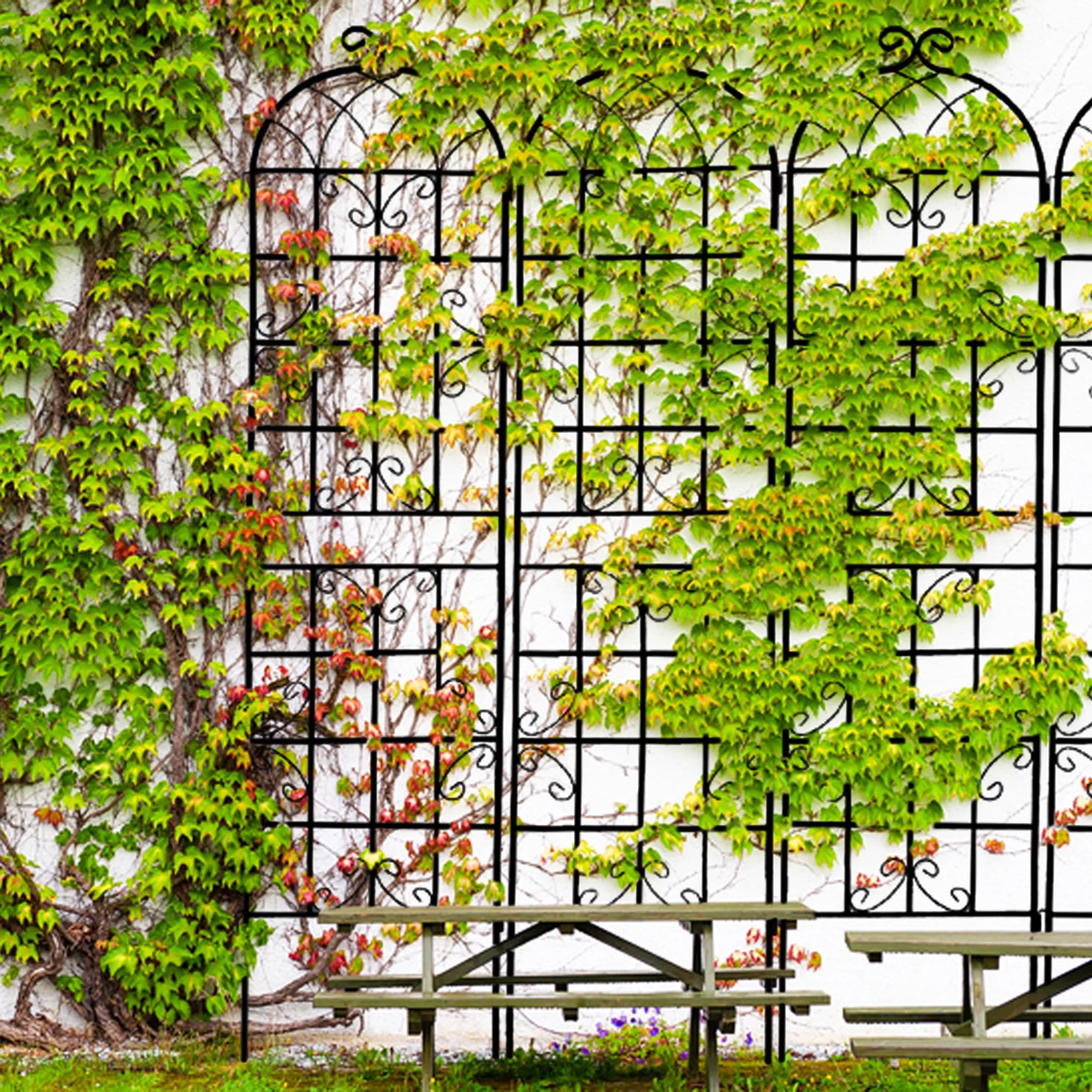 High Climbing Plants Support Rose Arch Outdoor, Metal Garden Trellis Black - Radiant Selections