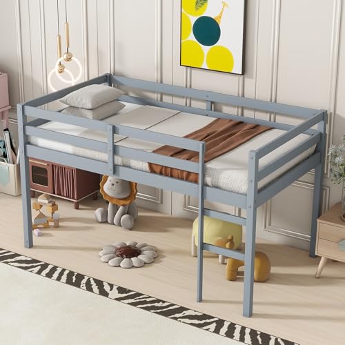 Low Loft Bed Twin Size, Kids Solid Wood Modern Loft Bed Frame with Ladder and Safety Guardrail for Girls Boys, Noise-Free,Non-Toxic Finishes