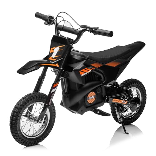 24V Kids Electric Dirt Bike 250W Motor Off-Road Motorcycle, 13.6MPH Fast Speed Powerful Motorcycle for Kids