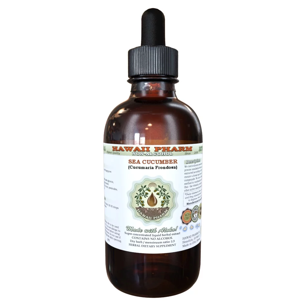 Sea Cucumber (Cucumaria Frondosa) Glycerite, Dried Sea Cucumber Alcohol-Free Liquid Extract, Orange-footed Sea Cucumber
