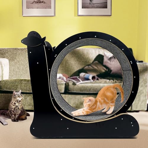 Cat Exercise Wheel for Indoor Cats, Cat Running Wheel with TPE Silent Roller, Cat Treadmill Wheel