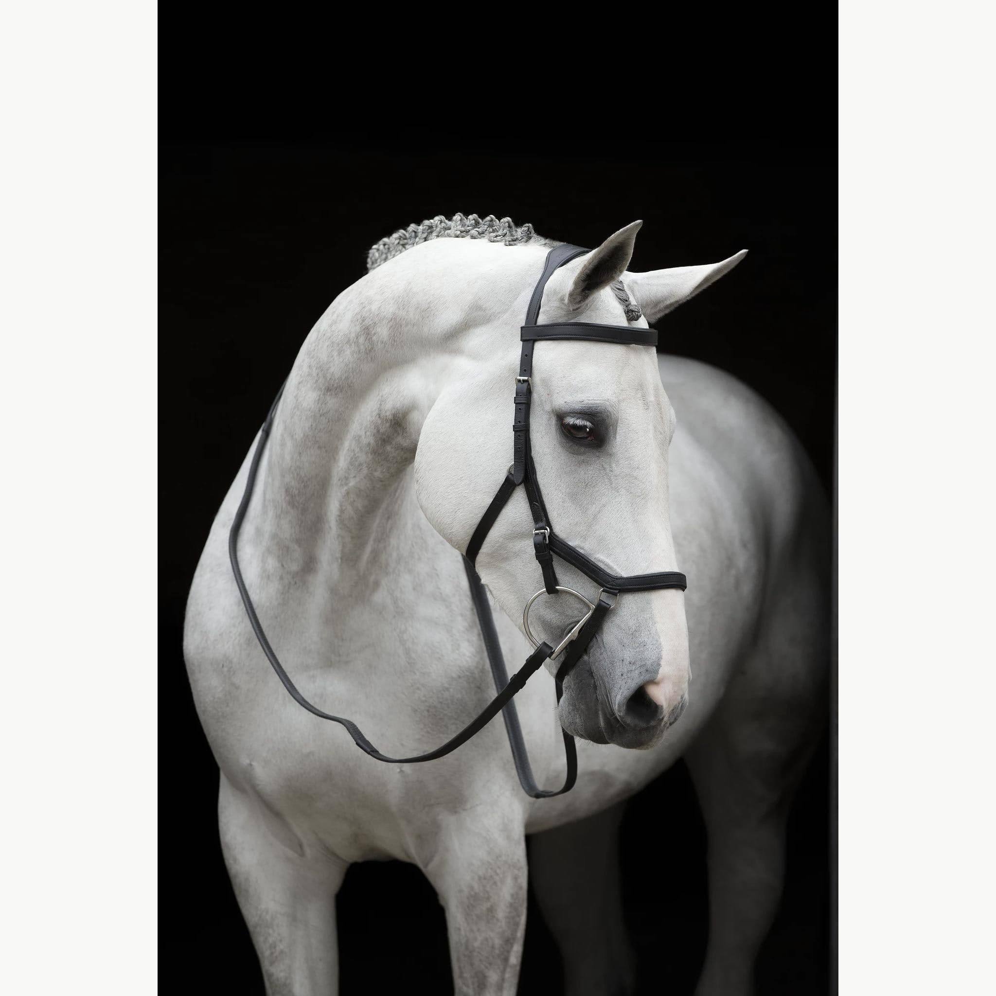 Micklem Competition Bridle