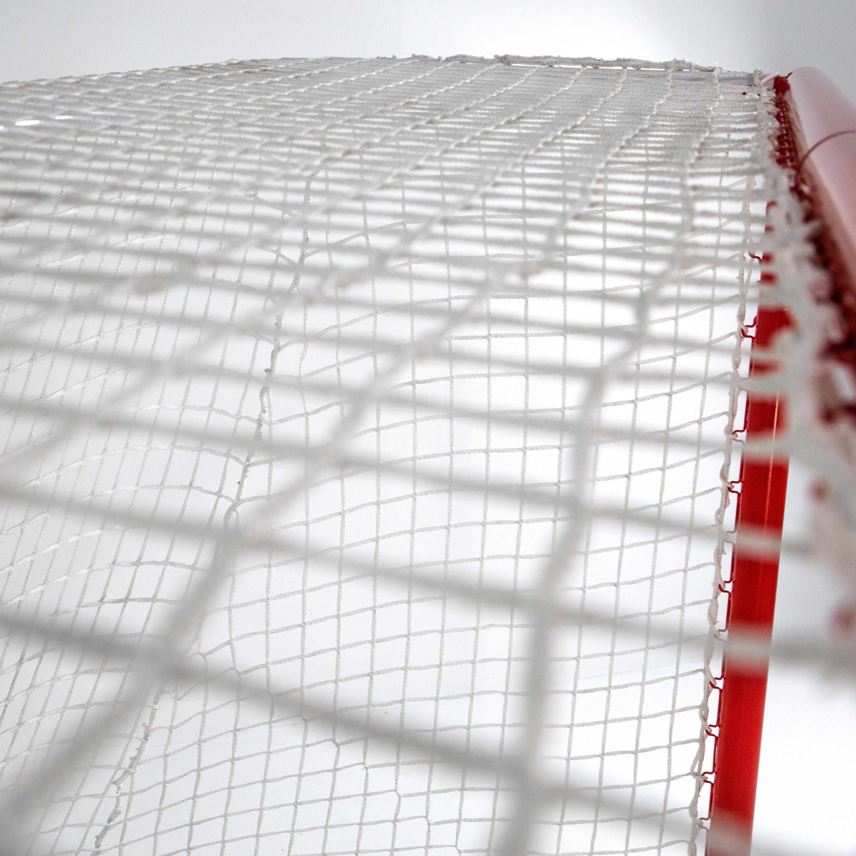 Skywalker Sports Competitive Series 6& x 4& Hockey Goal, Red