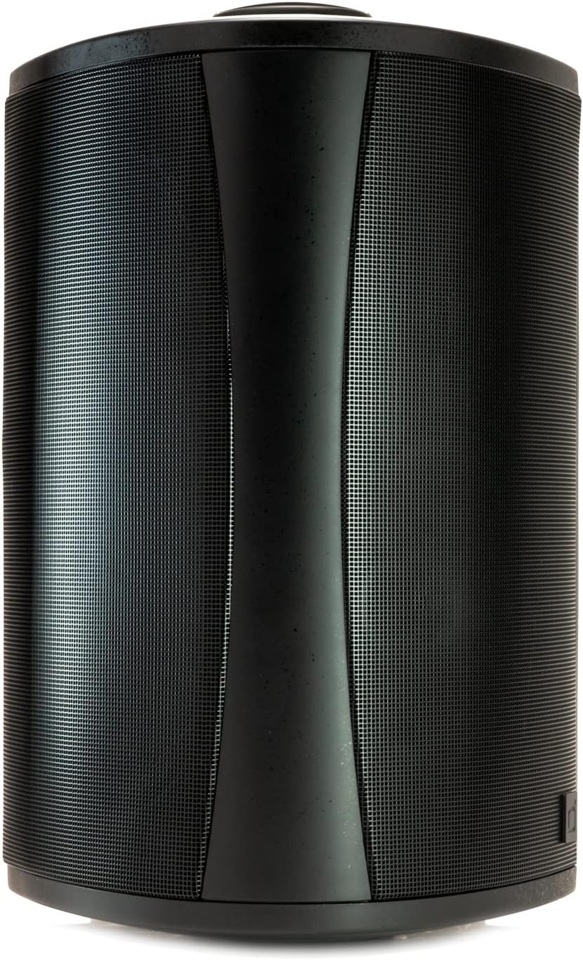 Definitive Technology AW 6500 All Weather Speaker with Bracket - Each (Black)