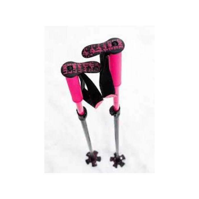 Line Paintbrush Ski Poles 2024 - Sports Supplies Online Store