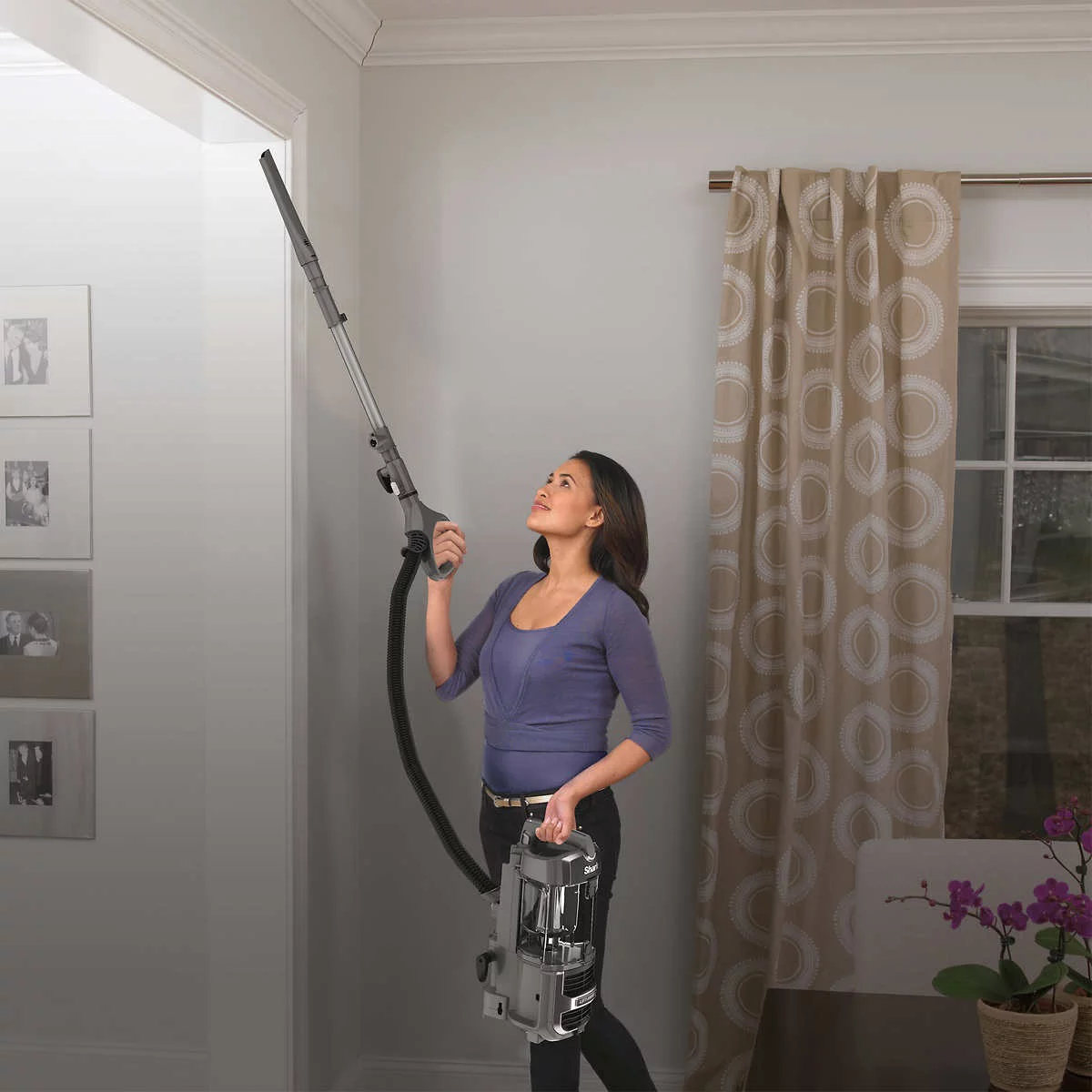 Shark Navigator Lift-Away Upright Vacuum - Radiant Selections