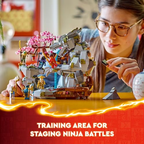 LEGO NINJAGO Dragon Stone Shrine, Build and Display Ninja Toy with 6 Ninja Action Figures, Advanced Building Ninja Kit