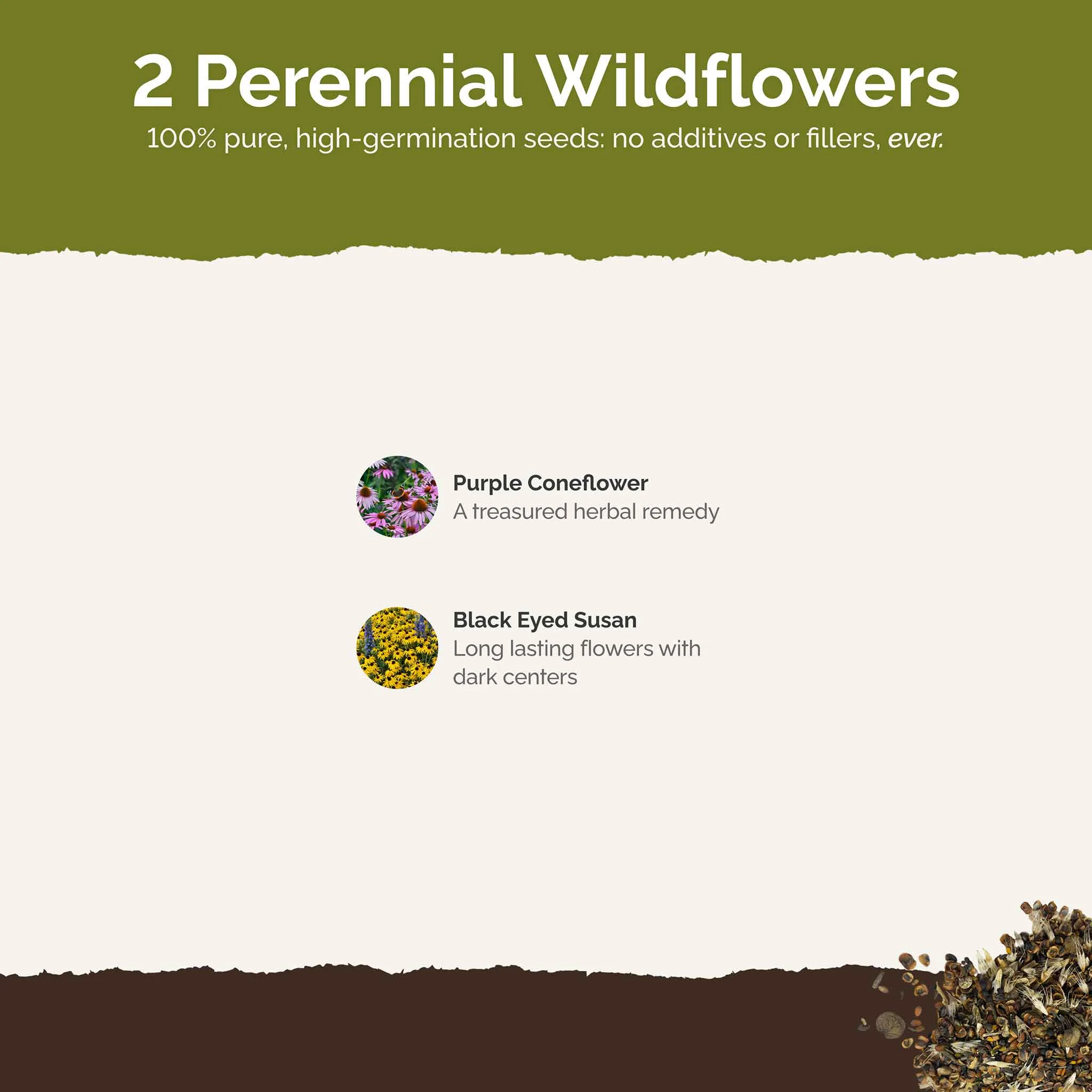 Eden Brothers Dynamic Duo Flower Mixed Seeds for Planting, 1/4 lb, 120,000+ Seeds with Purple Coneflower, Black Eyed Susan | Attracts Pollinators