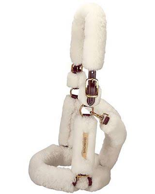 Dover Saddlery Premium Shipping Halter, 582000981, Brown