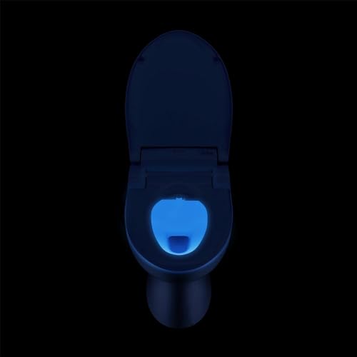 Brondell Bidet Toilet Seat with Remote Control, Heated Water, Custom Washes, Warm Air Dryer, Nightlight