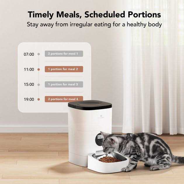 Petlibro Automatic Dog &amp; Cat Feeder - Pet Supplies online store