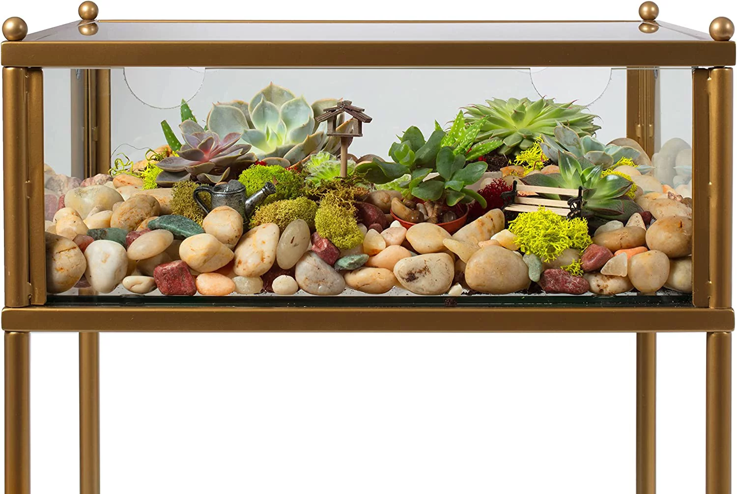 D'Eco Square Terrarium Glass End Table, 18x18x27