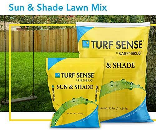 Turf Sense Sun u0026 Shade Mix Grass Seed, 25628