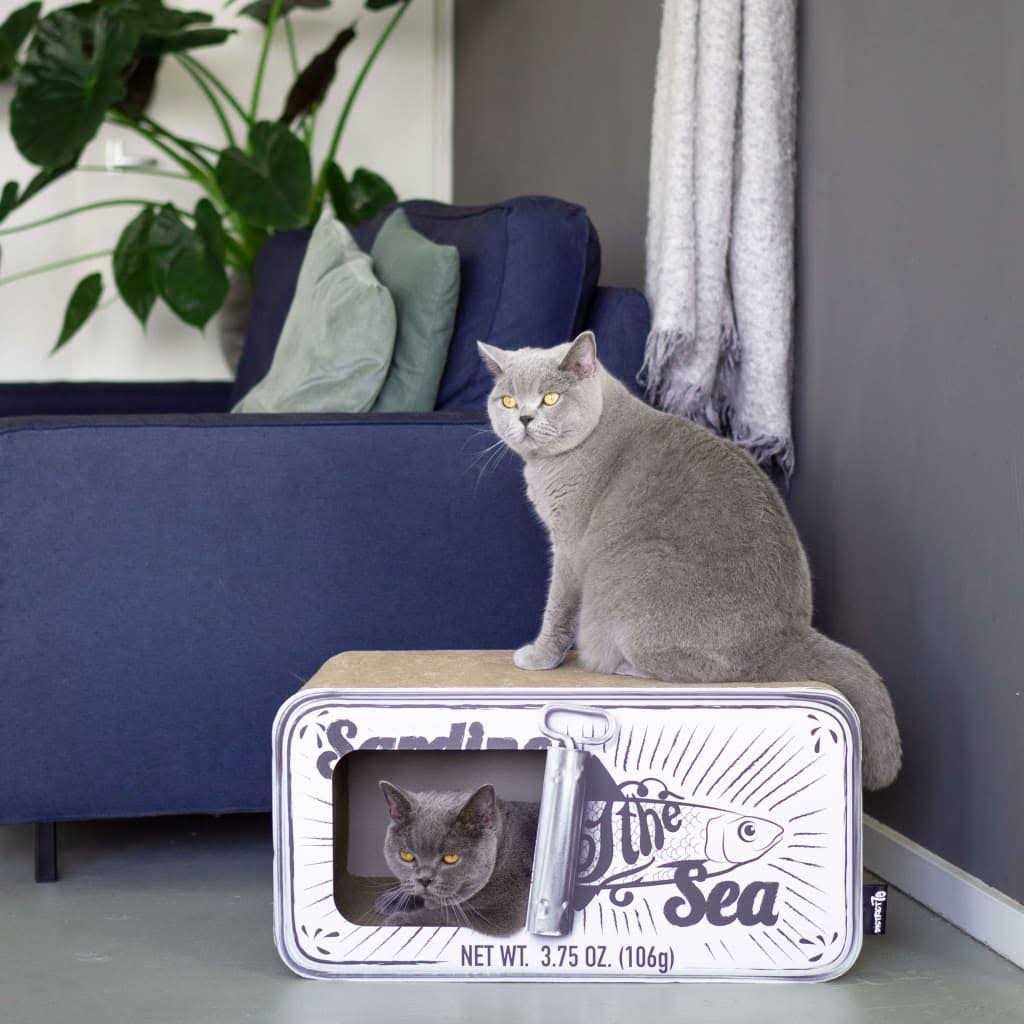 District 70 Sardine Cardboard Cat Scratcher - Pet Supplies online store