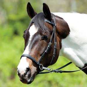 Dr. Cook Beta Bitless Bridle - Sports Supplies Online Store