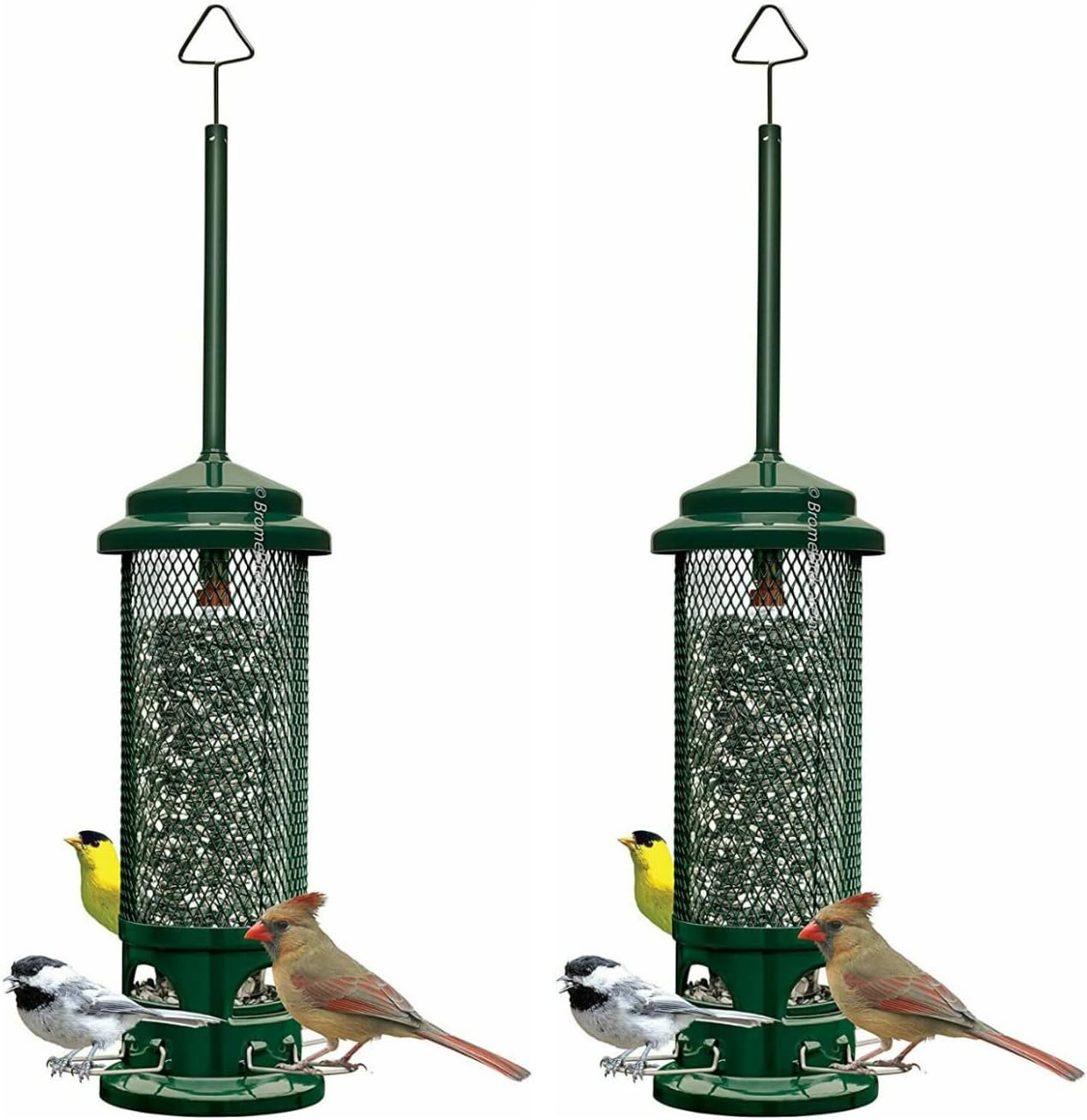 Squirrel Buster Legacy Squirrel-proof Bird Feeder w/4 Metal Perches, 2.6-pound Seed Capacity Pack of 2