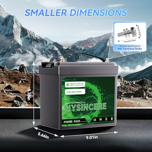 12V 100Ah LiFePO4 Lithium Battery, Mini Deep Cycle Rechargeable LiFePO4 Battery, Max.15000 Cycles Built in 100A BMS for RV, Trolling Motor, Camping