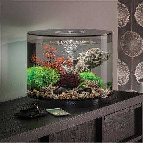 Oase biOrb TUBE - Pet Supplies online store