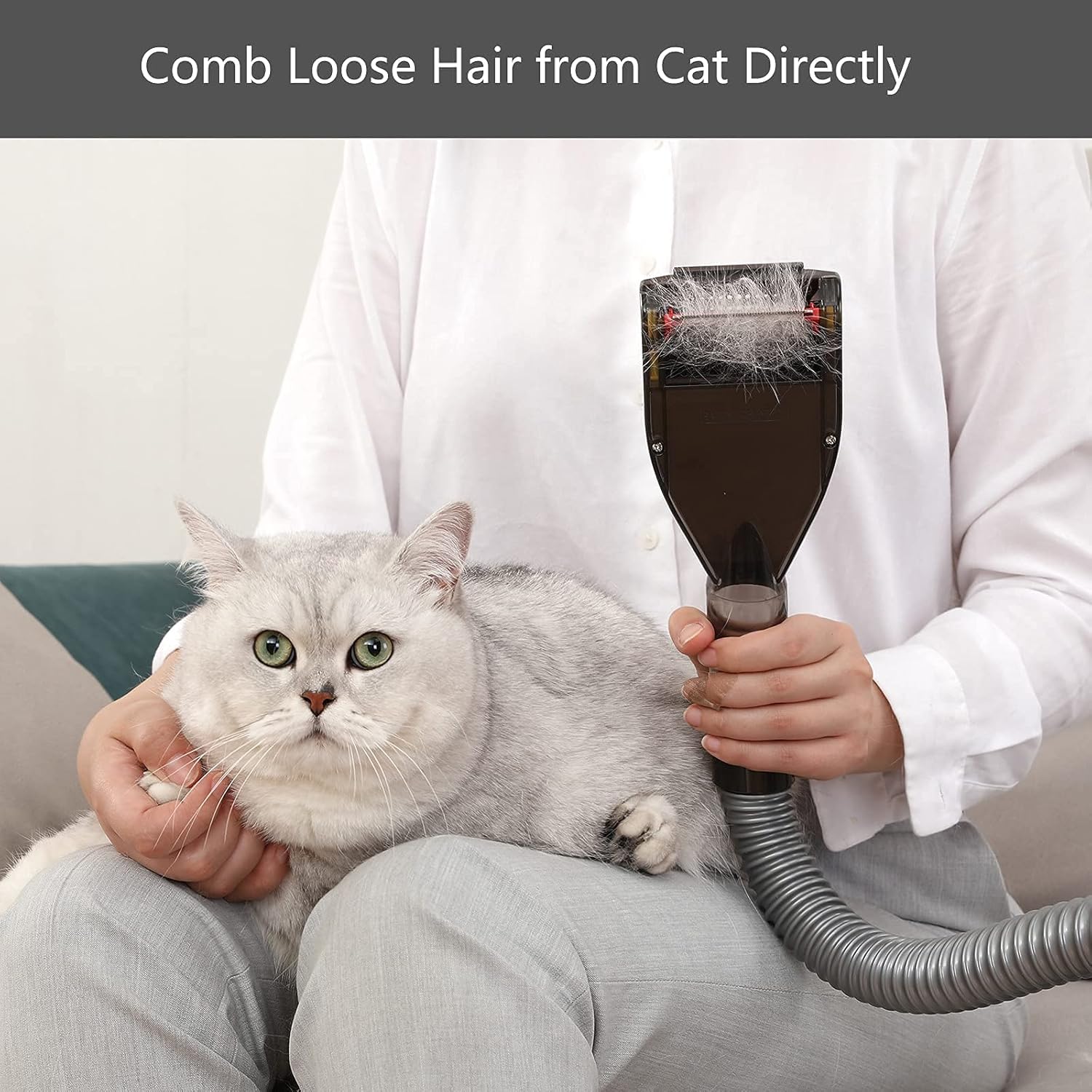 Defurry Pet Vacuum Grooming Brush and Shedding Comb Kit for Dog/Cat Hair, Vacuum Attachment Deshedding Tool for Dogs/Cats