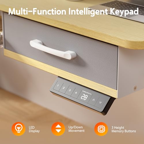 48x24 Inches Electric Standing Desk with 2 Drawers, Height Adjustable Stand up Desk for Home Office, Ergonomic Sit to Stand Table with Storage Shelf