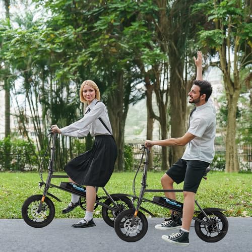 Winado Electric Bike for Adults, 14" Folding Electric Bicycle 450W Motor with Dual Disc Brakes, Max Range 25Miles(Pedal-Assist) & Speed 15.5MPH