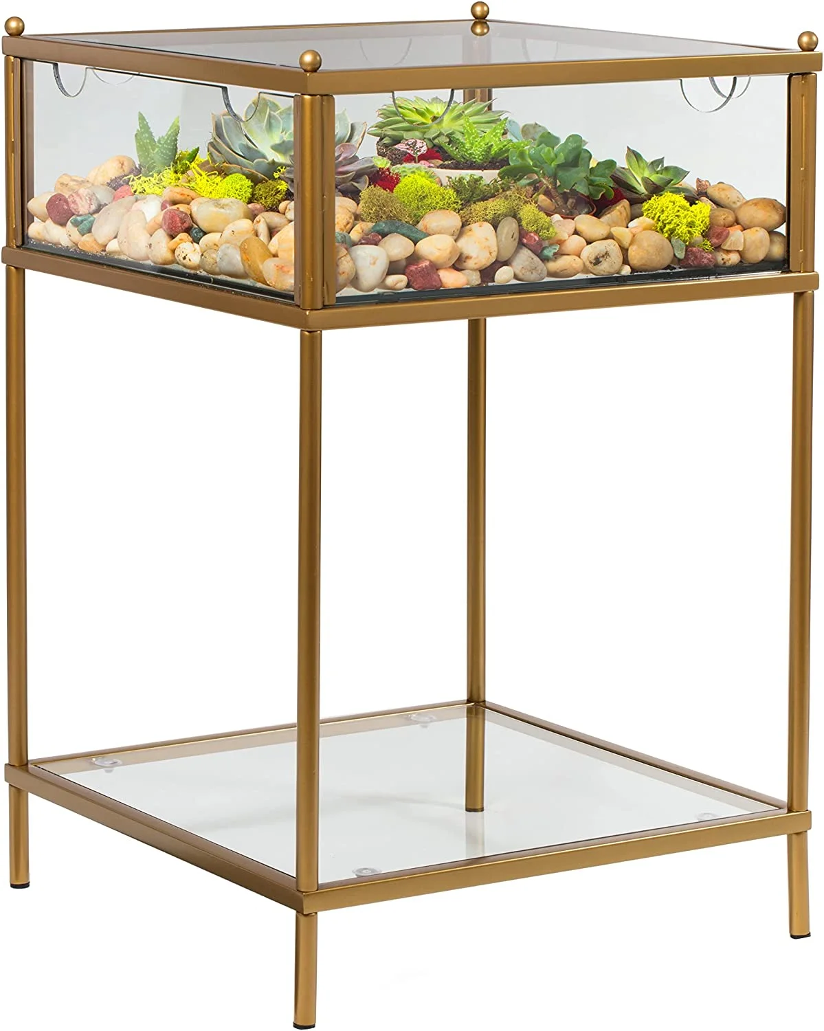D'Eco Square Terrarium Glass End Table, 18x18x27
