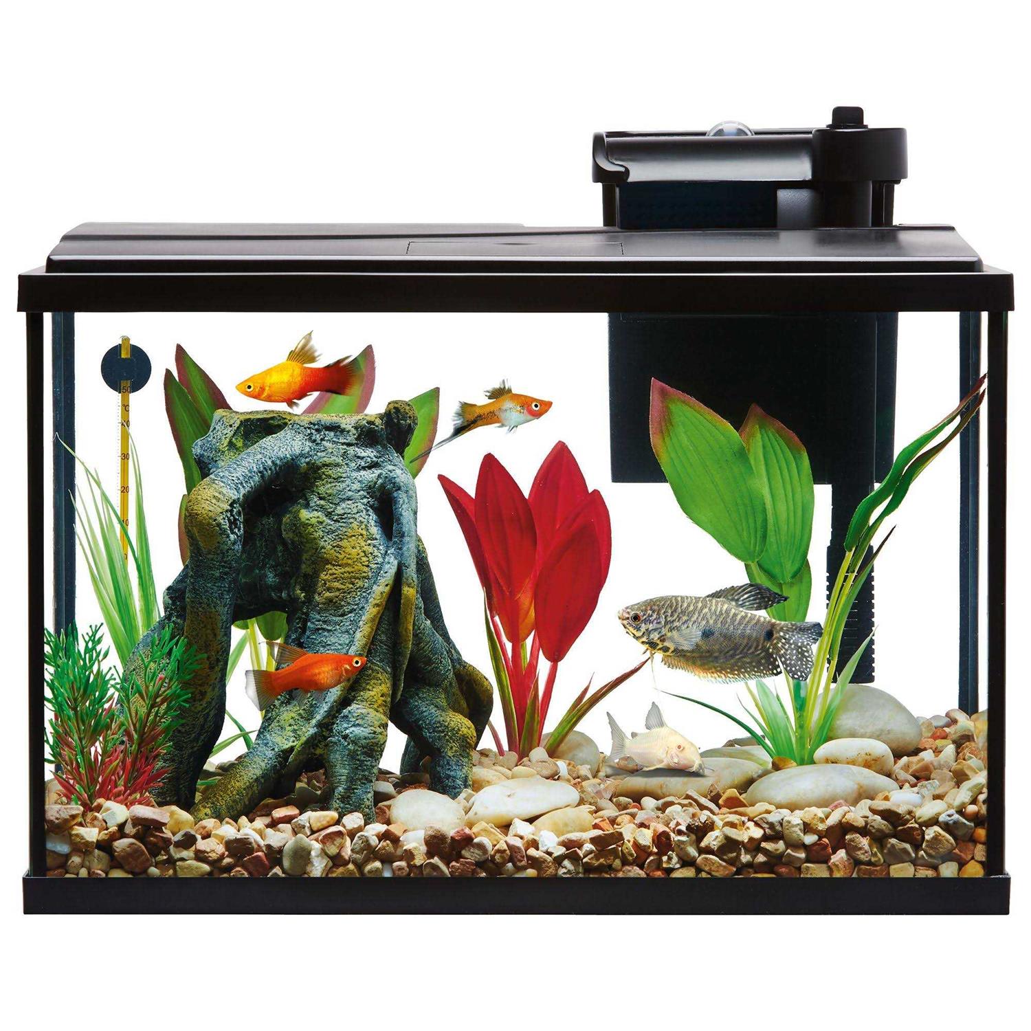 Top Fin Essentials Aquarium Tank Starter Kit - Pet Supplies online store