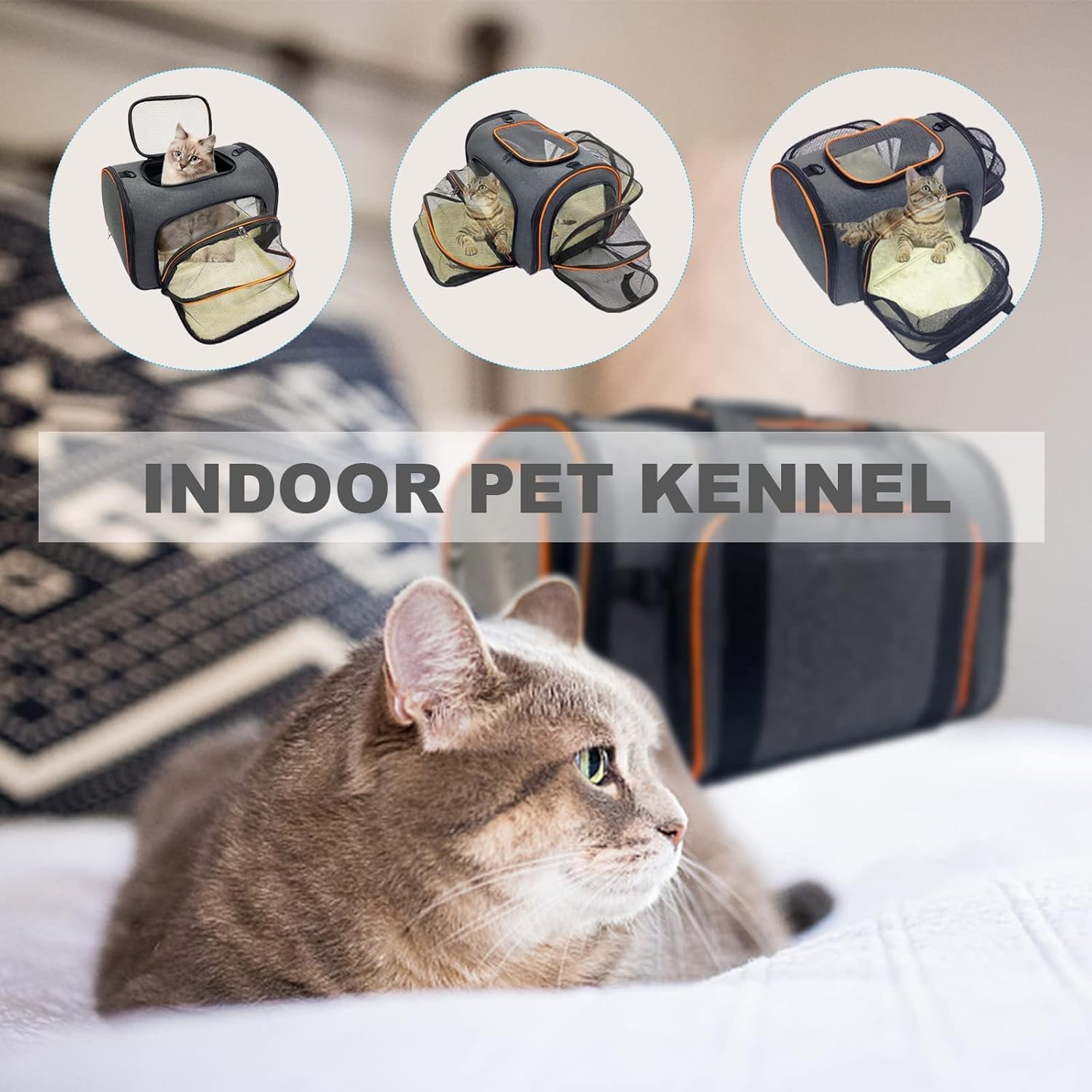 Cat Carrier, 3 Sides Expandable Foldable Pet Carrier for Medium Cat Small Dog