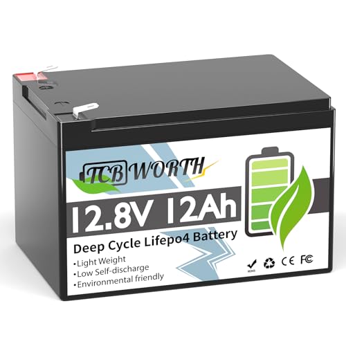 12V 100Ah LiFePO4 Battery, Rechargeabel Deep Cycle Lithium Batteries, 100A BMS with Low-Temp Protection, Perfect for RV, Solar, Boat, Marine
