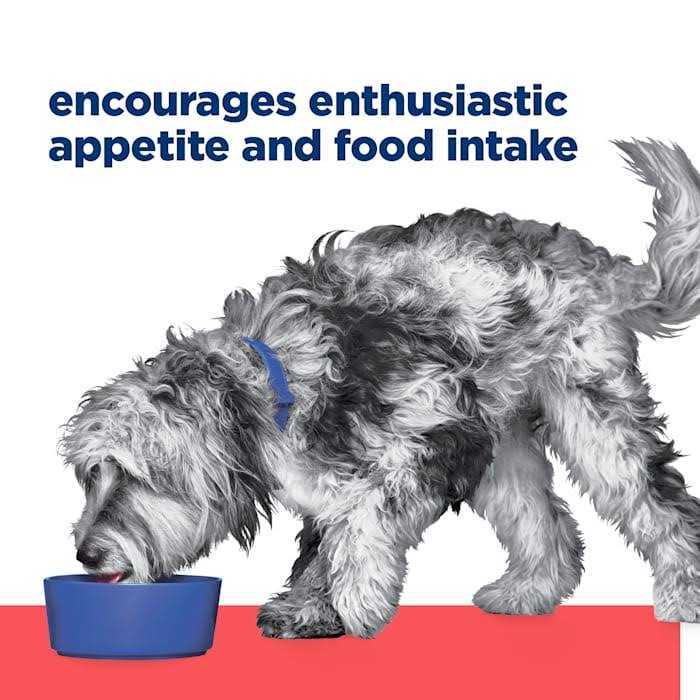 Hill's Prescription Diet ONC Care Wet Dog Food - Pet Supplies online store