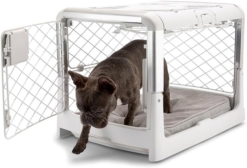 Diggs Revol Dog Crate (Collapsible Dog Crate, Portable Dog Crate, Travel Dog Crate, Dog Kennel) for Small Dogs and Puppies (Ash)