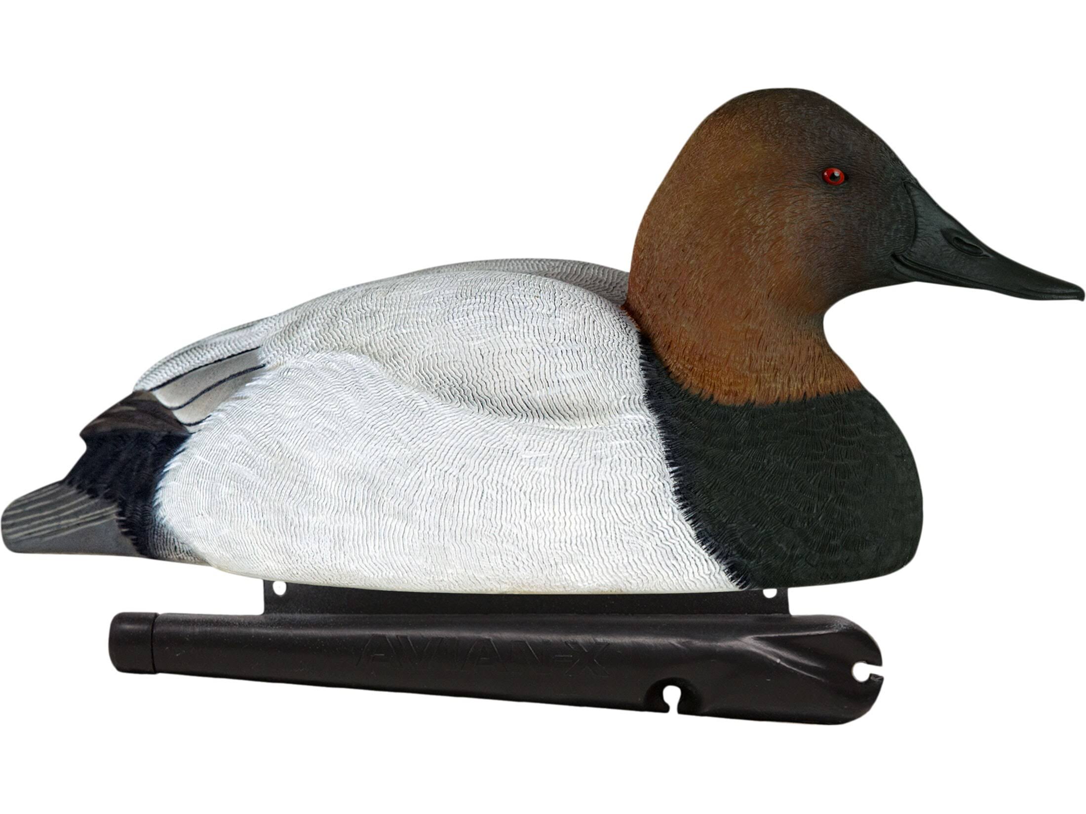 Avian-X Topflight Canvasback Duck Decoys 6 Pack
