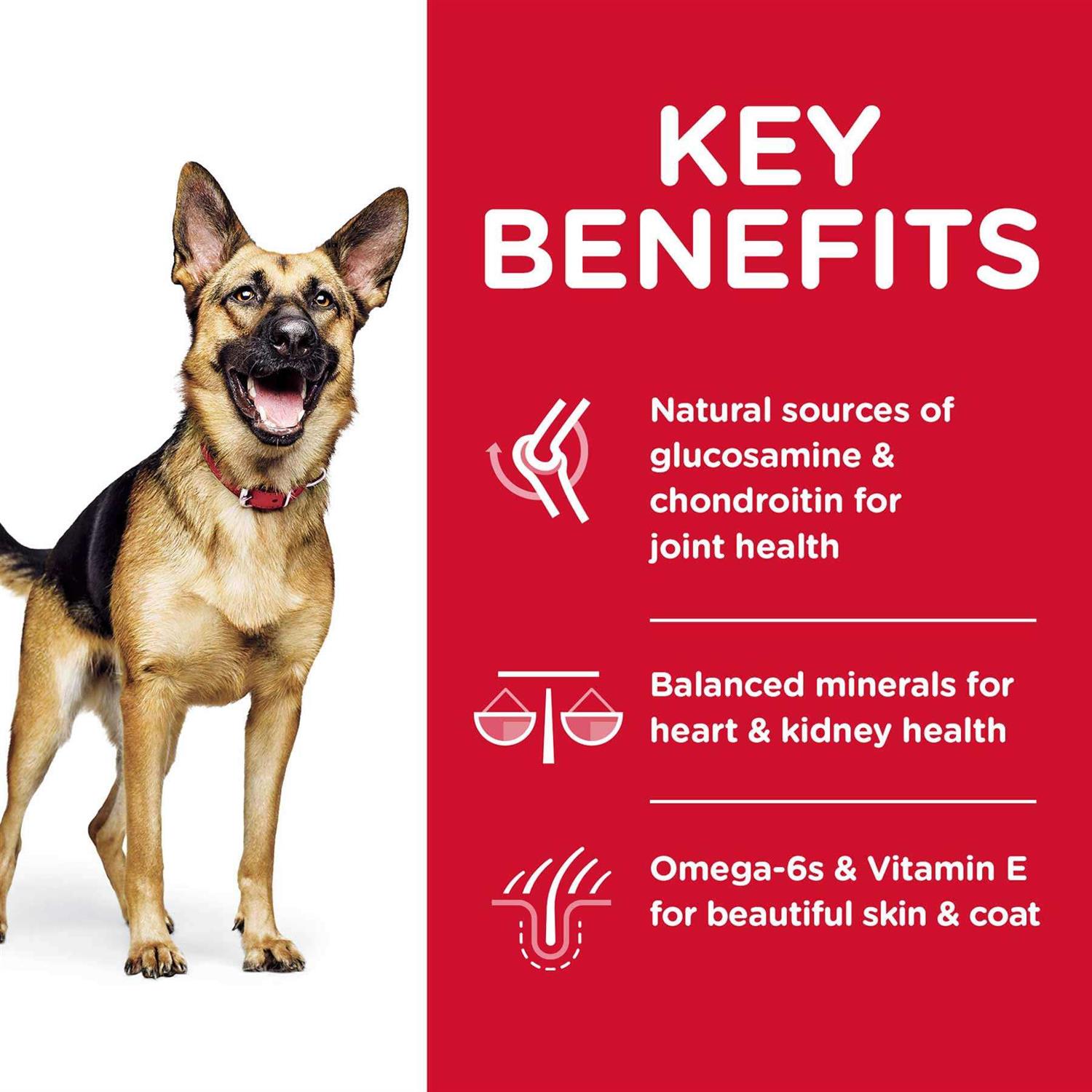 Hill's Science Diet Adult 6+ Large Breed Chicken Meal Dry Dog Food - Pet Supplies online store