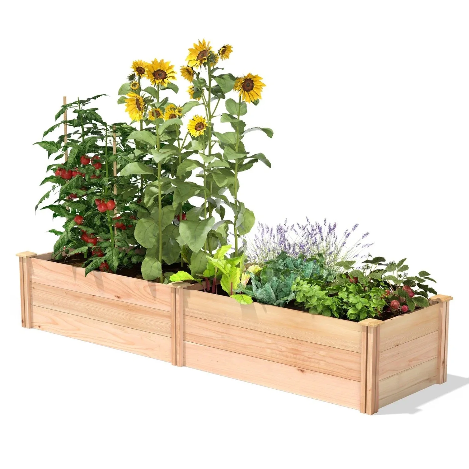 2 ft x 8 ft Tall Cedar Wood Raised Garden Bed - Made in USA - Curated Treasures Market
