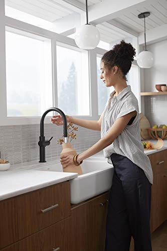 Kohler Crue Kitchen Sink Faucet