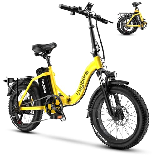 Folding Electric Bike for Adults with Peak 1000W Motor, 48V 20AH Battery up to 30MPH 80 Miles, 20" Fat Tire All Terrain Ebike