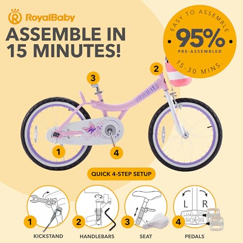 Royalbaby Princess Girls Kids Bike 12 14 16 18 20 Inch Children Bicycle with Basket for Age 3-12 Years