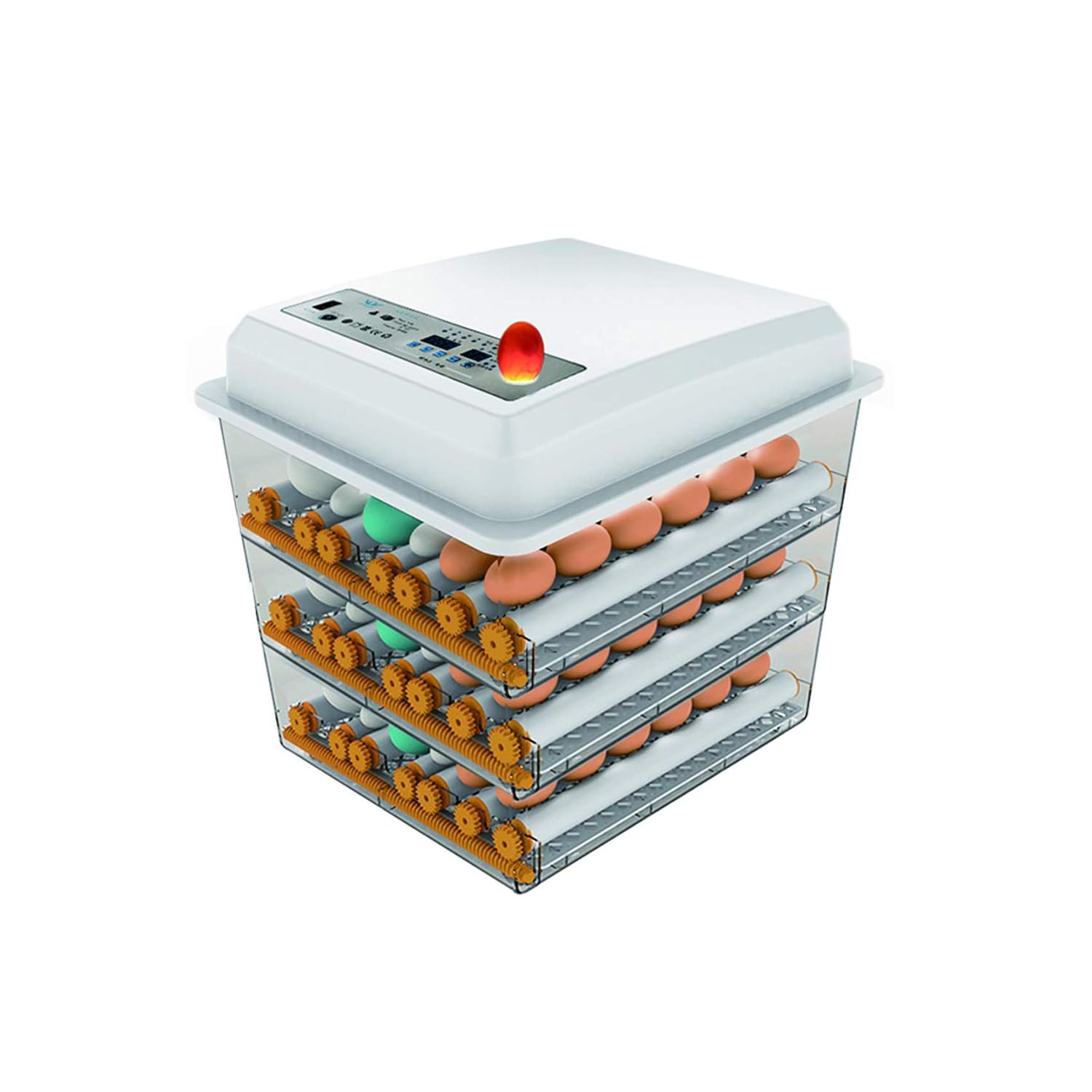 JAEDO 170 Egg Incubator Poultry Hatcher with Fully Automatic Egg Turning and Temperature Humidity Control for Chickens Ducks Goose Birds
