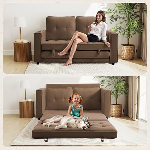 Loveseat Sleeper Sofa Bed for Living Room - Modern Comfy Convertible Futon Couches- Folding Couch Bed for Small Spaces